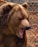 _MG_9274a 8x10yo.jpg