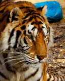 _MG_9330 9x10ayl.jpg