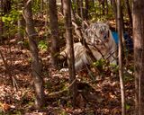 _MG_5224a 8x10v2 gbem.jpg