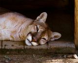 _MG_6012a 8x10lak.jpg