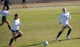 DSC01594.JPG