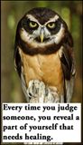 judge - v - every time you judge someone.jpg