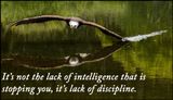 intelligence - its not the lack of intelligence.jpg