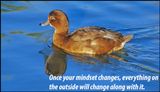 change - once your mindset changes.jpg