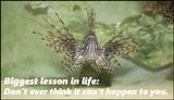 lessons - biggest lesson in life.jpg
