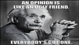 opinion - an opinion like an ugly.jpg