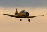 Chatham Airshow D250610 0915 www.jpg