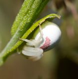 DSC_5431.jpg
