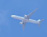 FP8A5377.JPG