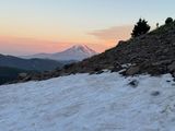 IMG_8295.jpg