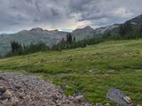 IMG_8307.jpg