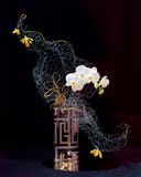 Orchid ikebana