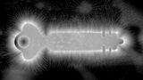 Kirlian photograph