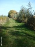 Footpath 