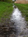 Borculo: het pad langs de Berkel -  the path along the Berkel