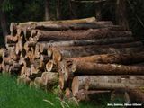 Onderweg: hakhout