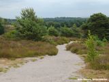 De Veluwezoom - The Veluwezoom (edge of the Veluwe)