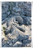 Les rochers sculpts de Rothneuf 9