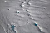 Wendi Forster 004 Winterscape