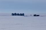 Mark Collard 005 Prairie Winter