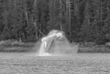 Finn Jakobsen 009 Black and White