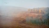 Ronald Da Roza - Fall Colours 003