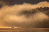 Jacquie Matechuk - 002 - Sail the Golden Veils