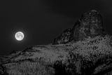 Cal Hill 004 Black and White
