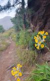 Mar 23 Gran Canaria -2nd day on good hiking trails