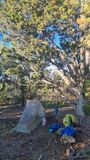 2023 Arizona Trail First camp, sheltered by juniper