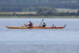 Aug 24 Sea kayaking Chanonry, Black Isle
