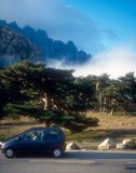 Corsica Day 16 Bavella sports climbing crag Twingo rental car Martina