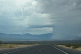Mesquite