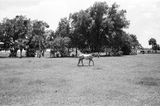 ilford_hp5_plus_08_04_2022_000062310034.jpg