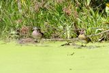 IMG_6860.JPG