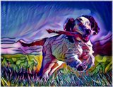Dog