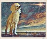 Pastel Enhancement