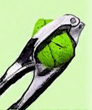 IMG_9224.jpeg