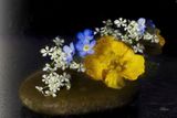 Floral Arrangement