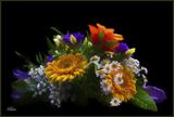 Impression Bouquet 