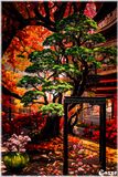 Table, Trees and Flowers