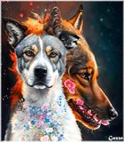 Dog and a Wolf: