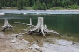 IMG_1185.JPG