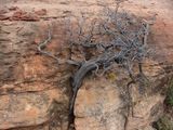 Sedona04 037.jpg