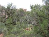 Sedona04 160 (2).jpg