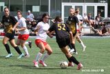 IMG_1551.jpg