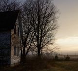 Pine Road Sunrise 