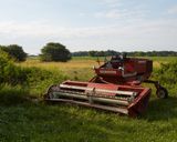 Hesston 6450 Swather 