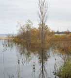 Lake Michigan Dune Pool 