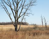 Barn in the Grassland 